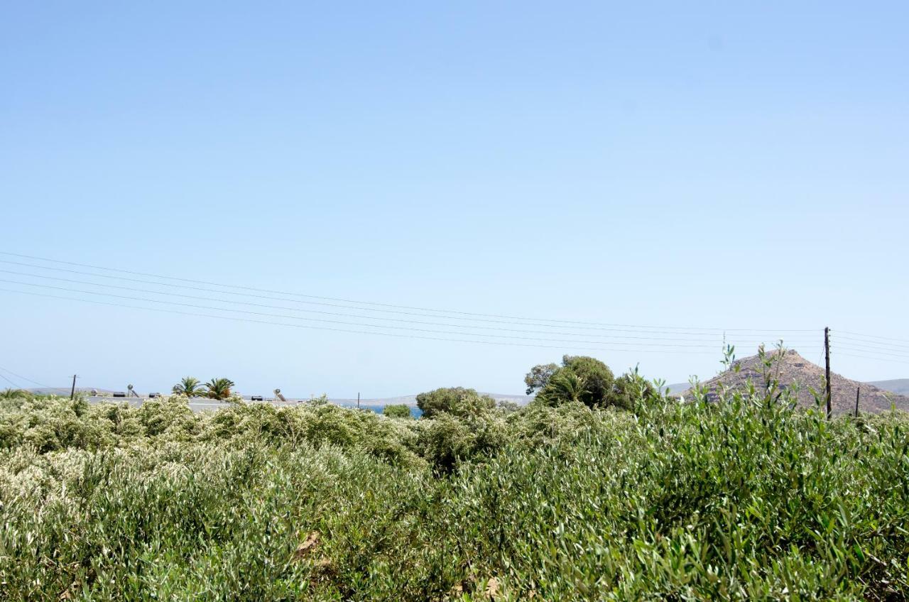 Giorgos Villa Palekastro Buitenkant foto