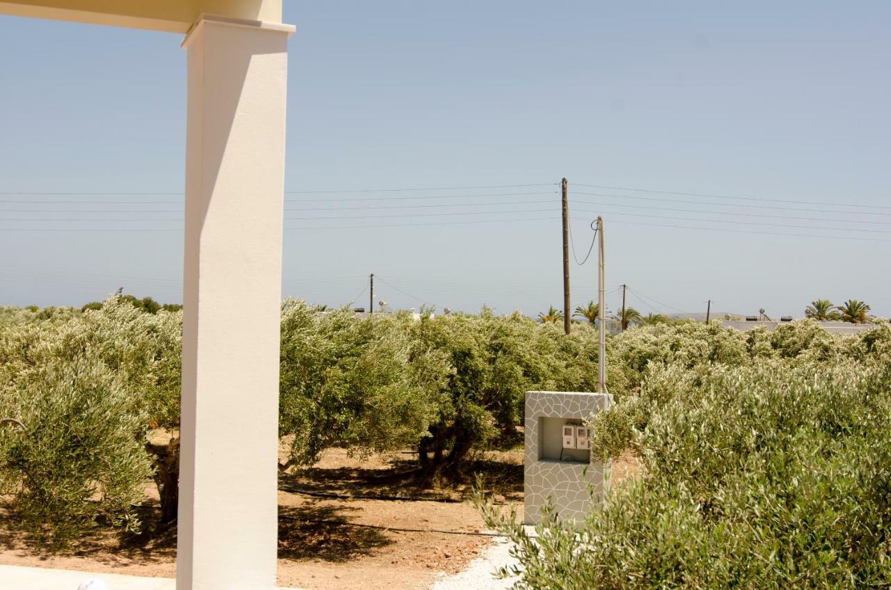 Giorgos Villa Palekastro Buitenkant foto